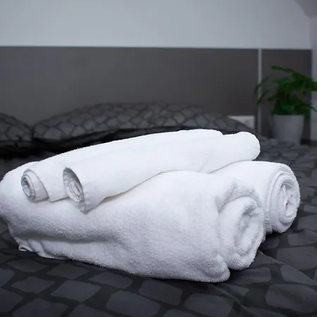 Luxury Cozy 2 Bdr Downtown Apt.1 Appartement Boedapest