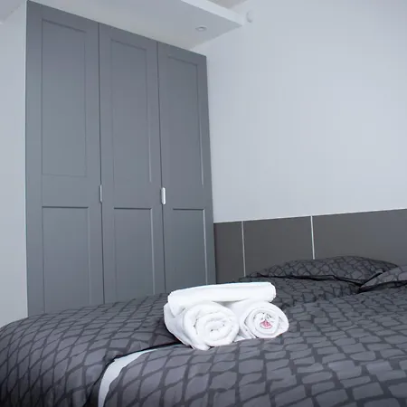 Luxury Cozy 2 Bdr Downtown Apt.1 *