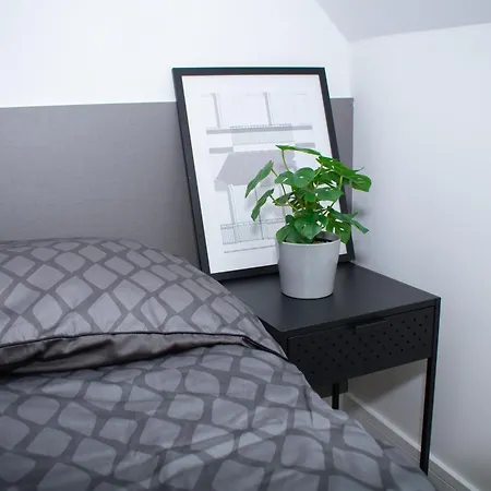 Luxury Cozy 2 Bdr Downtown Apt.1 Apartment