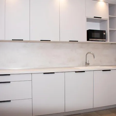 Apartment Luxury Cozy 2 Bdr Downtown Apt.1